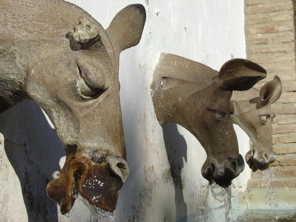 La Posada Del Recovero خينالغواثيل المظهر الخارجي الصورة